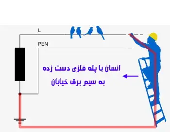 چرا پرندگان دچار برق گرفتگی نمیشوند